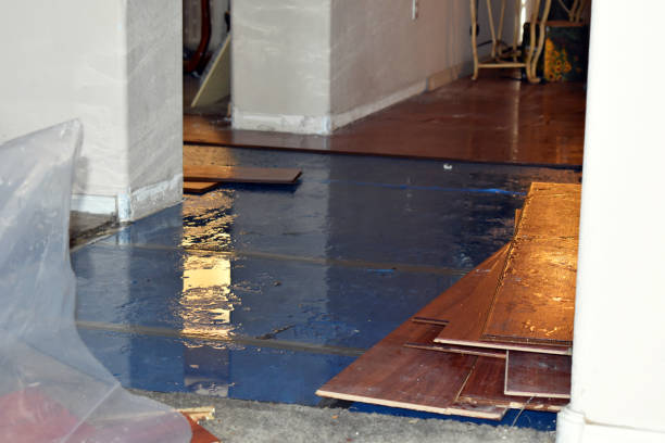Professional Sewage Cleanup technician working in Westport, MA