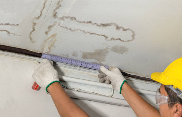 Reliable Sewage Cleanup contractor in Westport, MA by Water Damage Irwin